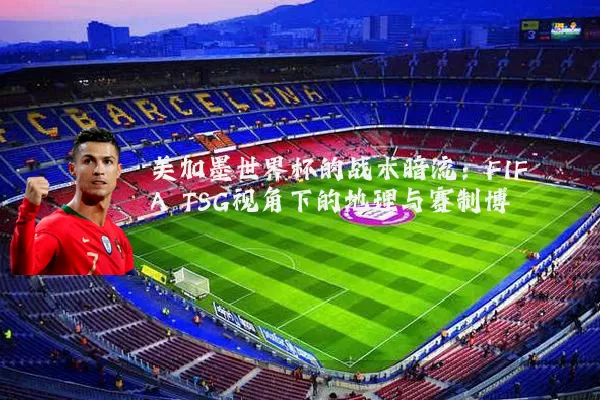 美加墨世界杯的战术暗流：FIFA TSG视角下的地理与赛制博弈